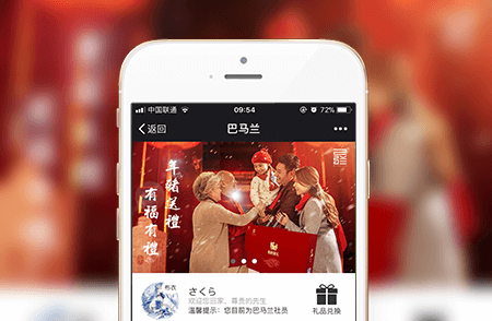 微商分销系统-小程序开发案例
