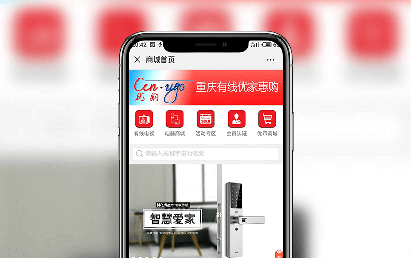 微信返利分销商城-小程序开发案例